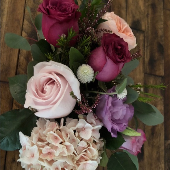 Meet your Posher, Alba - Picture 1 of 1